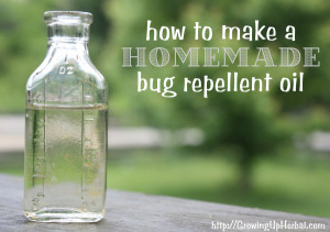 Insect-repelling-Herbs