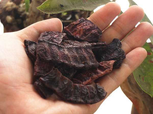 Shikakai-Tulsi-Curry-Leaves-Shampoo