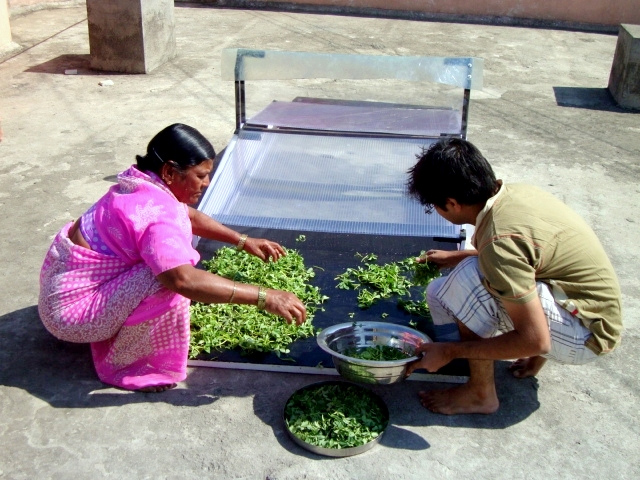 Solar Dryer India