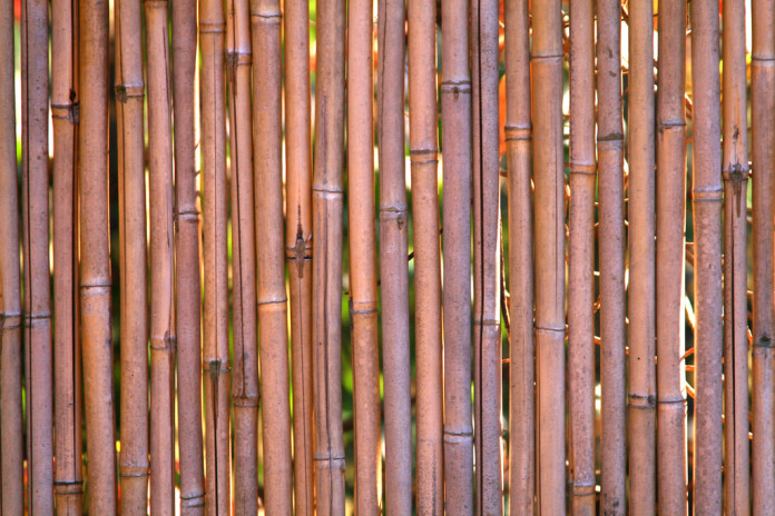 Eco-Flooring Bamboo