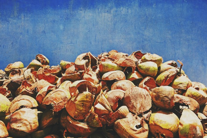 Eco-Flooring Coconut Shells