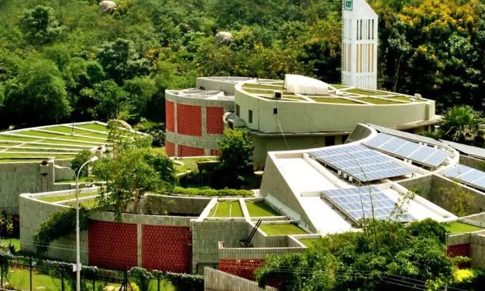 What are the Advantages of Green Roofing your Building?